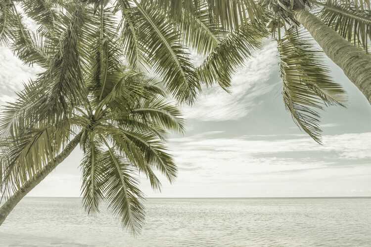 Arte Fotográfica Exclusiva FLORIDA Vintage Oceanview