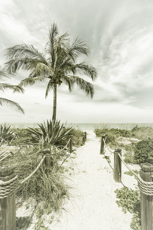 Arte Fotográfica Exclusiva Path to the beach | Vintage