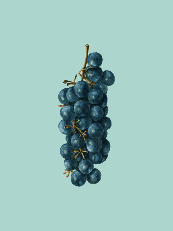 Arte Fotográfica Exclusiva grapes