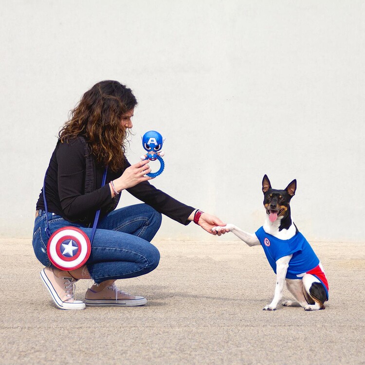 Dog clothes Avengers - Captain America