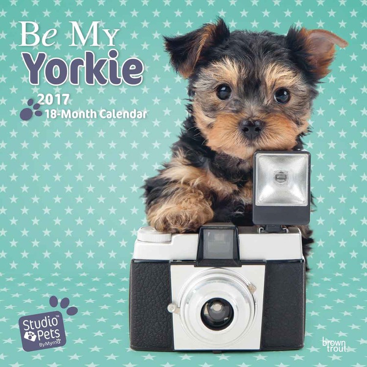 Calendar 2021 Be My Yorkie