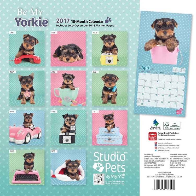 Calendar 2021 Be My Yorkie