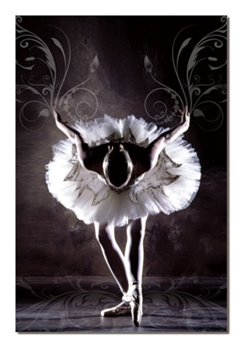 Black & White Ballerina Mounted Art Print