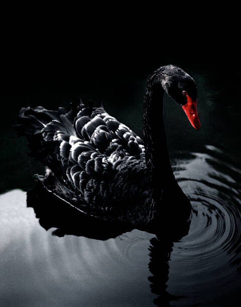 Sticker BLACK_SWAN