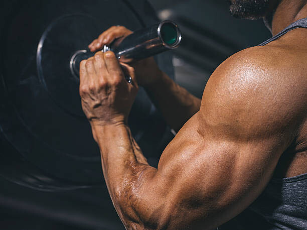 Autocolante Bodybuilder preparing a barbell on a