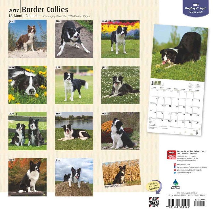 Calendar 2021 Border Collies