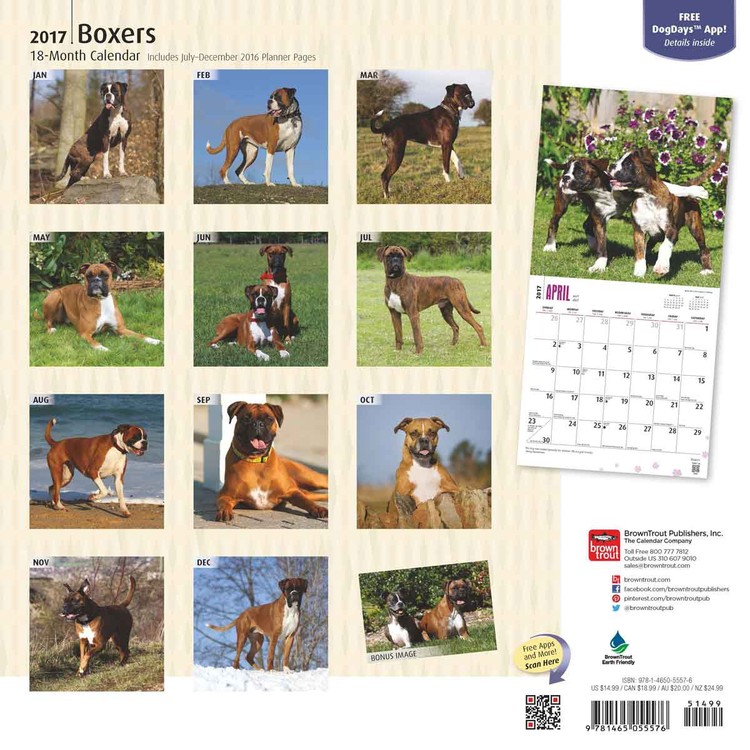 Calendar 2021 Boxers