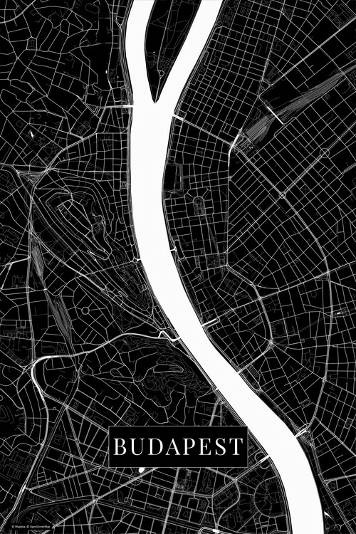 Фотошпалери Budapest black