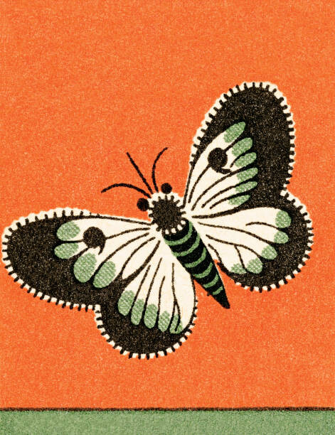 Наклейка Butterfly