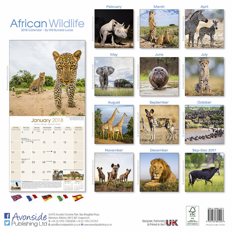 African Wildlife - Calendars 2021 on UKposters/Abposters.com