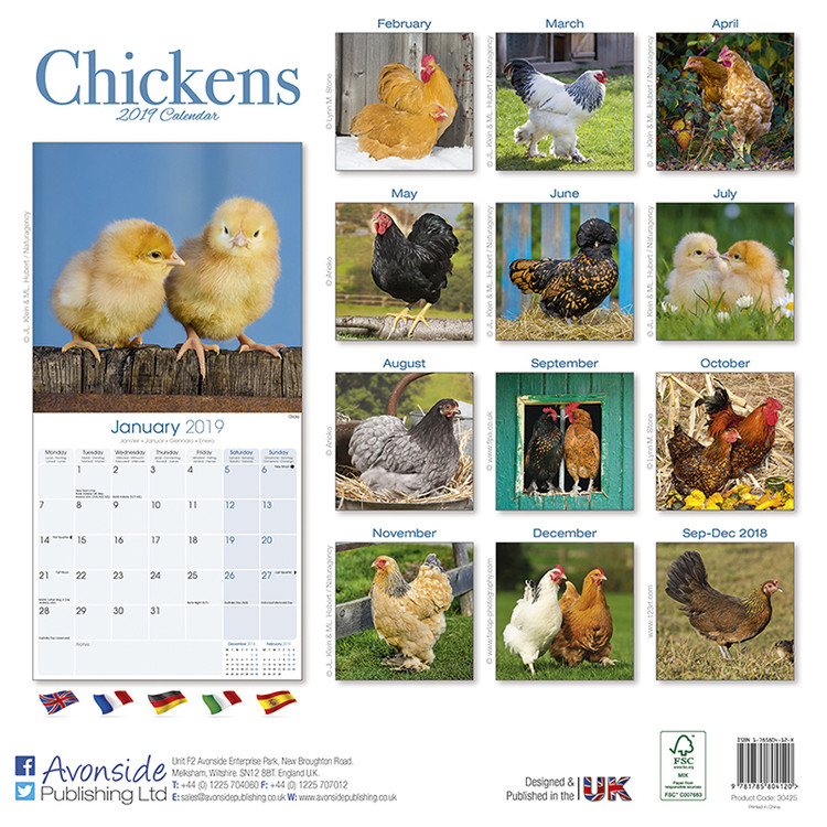 Chickens Calendars 2021 on UKposters/UKposters