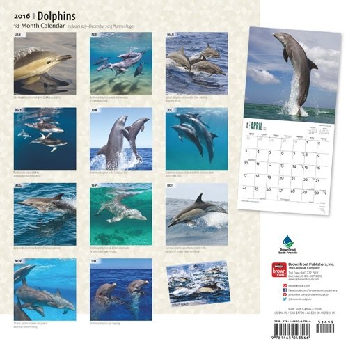 Dolphin Calendars 2021 on UKposters/EuroPosters