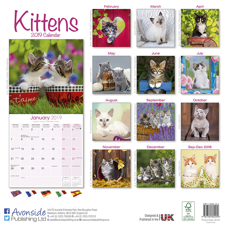 Kittens - Calendars 2021 on UKposters/UKposters