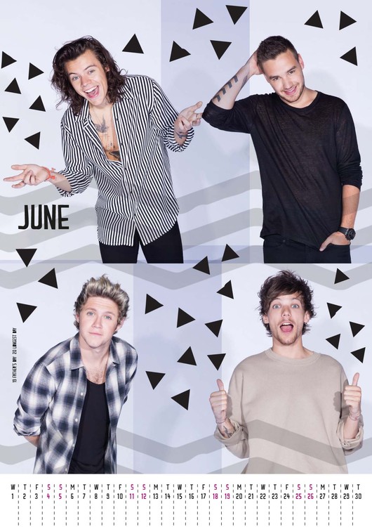 One Direction 1D Calendars 2018 on UKposters