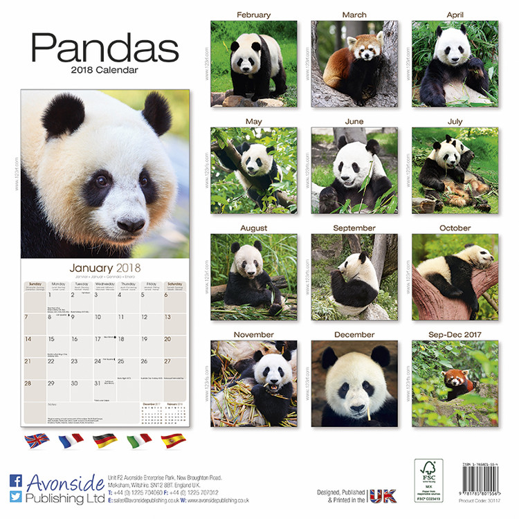 Pandas - Calendars 2021 on UKposters/EuroPosters