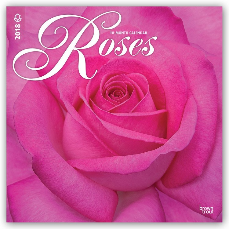 Roses Calendars 2021 on UKposters/UKposters