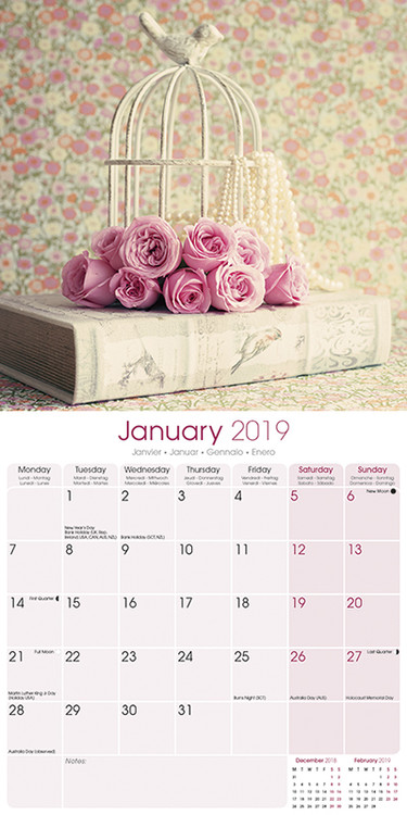 Shabby Chic - Calendars 2021 on UKposters/Abposters.com