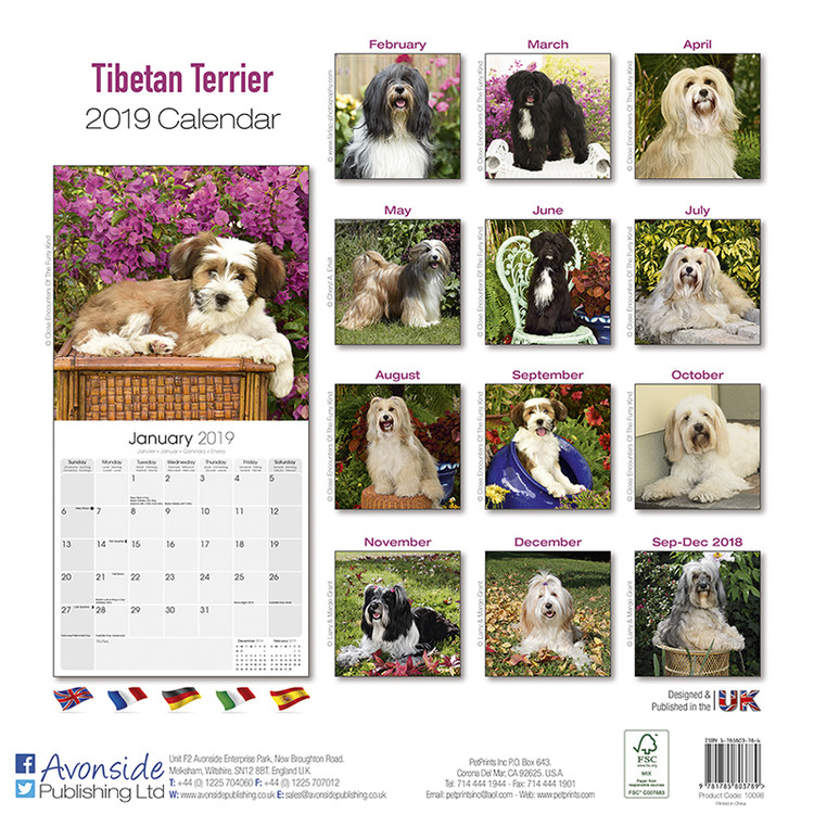 Tibetan Mastiff Calendar 2024 Calendar 2024