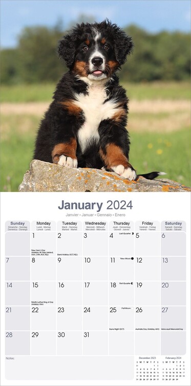 Bernese mountain 2024 dog lego