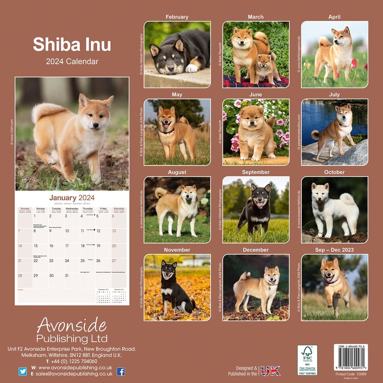 Calendário 2024 Shiba Inu