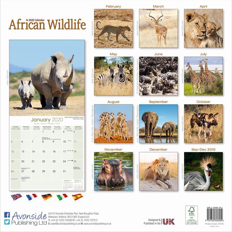 African Wildlife Wall Calendars 2020 Buy at Europosters