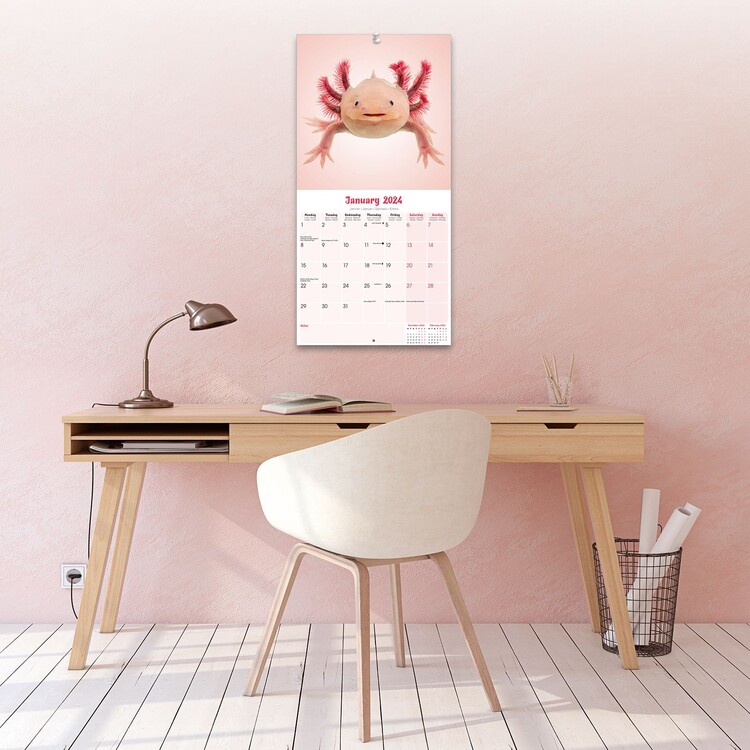 Axolotls Wall Calendars 2024 Buy At Europosters   Axolotls I178328 