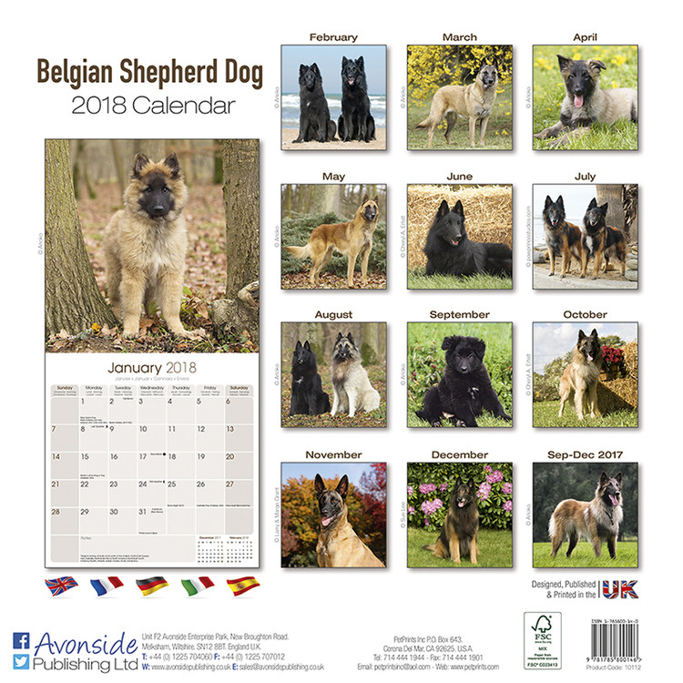 belgian shepherd dog wall calendars 2022 large selection