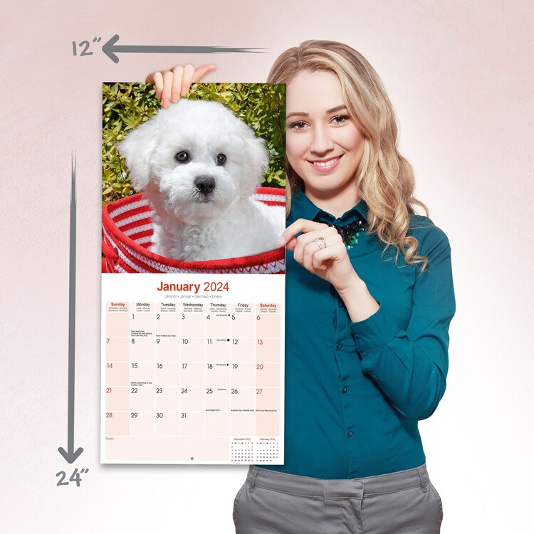 Norbert The Dog Calendar 2024 Bette Chelsae