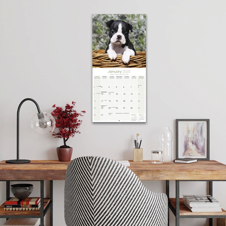 Border Collie Puppies Calendar- Puppies Calendar - Dog Breed Calendars -  2022 - 2023 wall calendars - 16 Month by Avonside