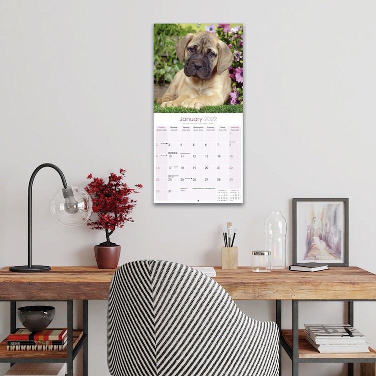 Calendar 2022 Bull Mastiff