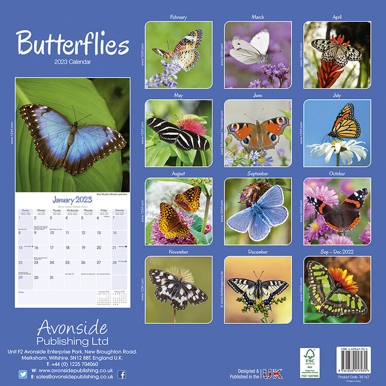 Calendar 2023 Butterflies