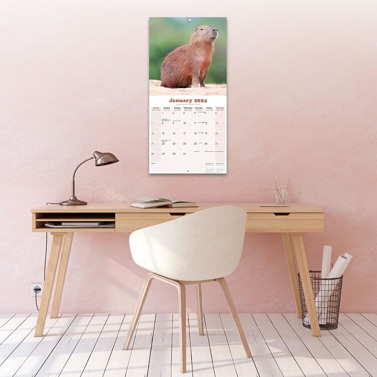 Capybara Wall Calendars 2024 Buy at Europosters