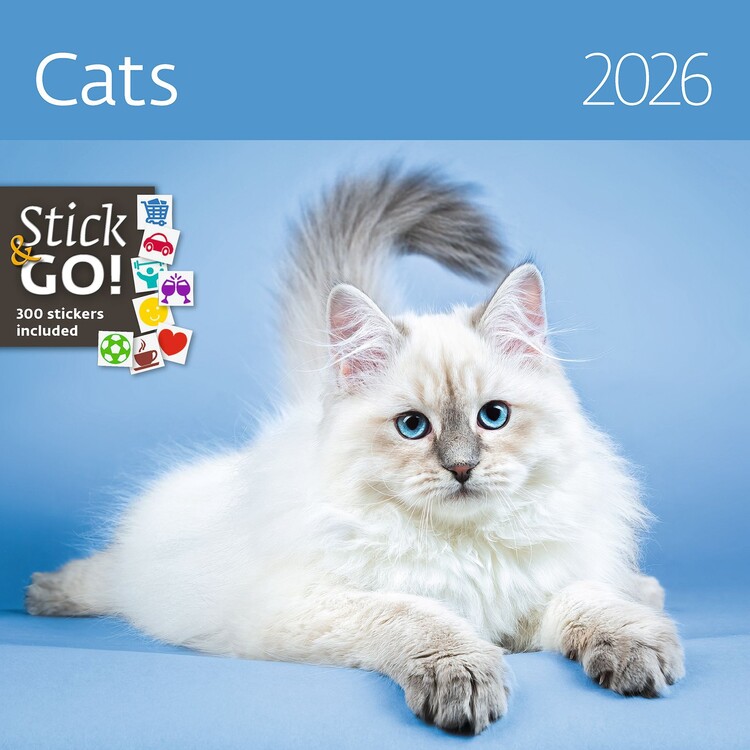 Calendar 2026 Cats