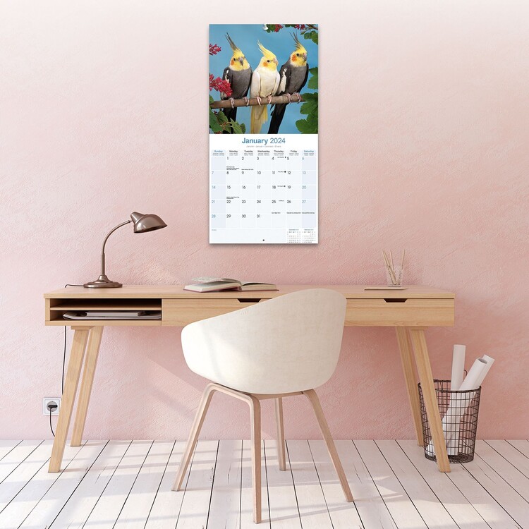 Cockatiels Wall Calendars 2024 Buy at