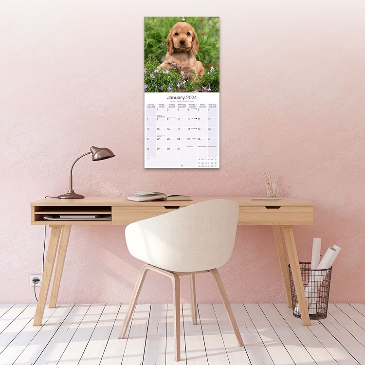 Calendar 2024 English Cocker Spaniel