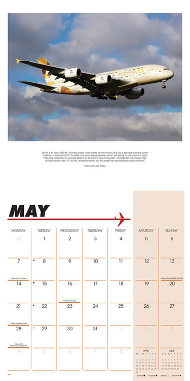 Wandkalender 48x34 cm Airliners in special colours 2022