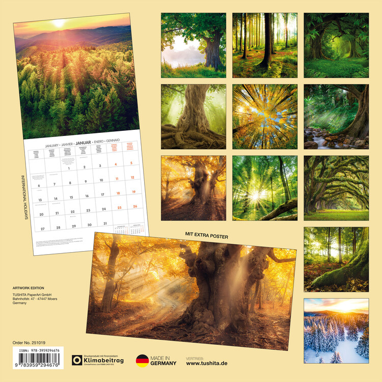 Forest Nature Wall Calendars 2025 Buy at