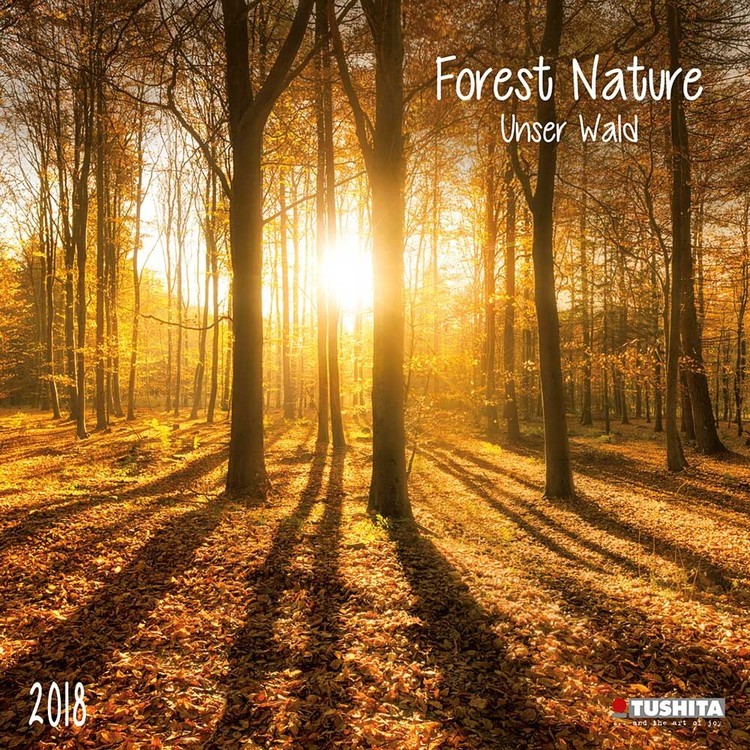 Forest Nature - Wall Calendars 2018 | Buy at Europosters