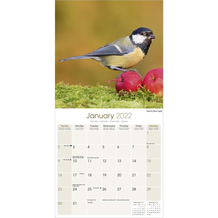 Calendar 2022 Garden Birds