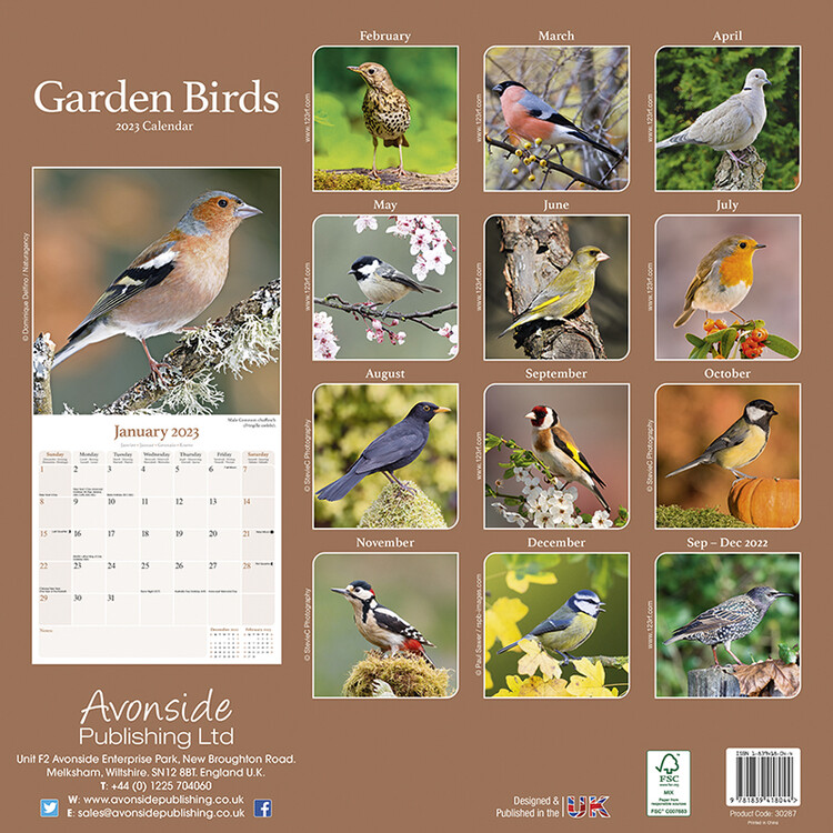 Garden Birds Wall Calendars 2023 Buy at Europosters