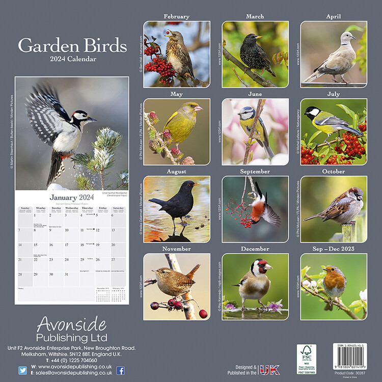 Bird Wall Calendar 2024 - Lona Sibeal