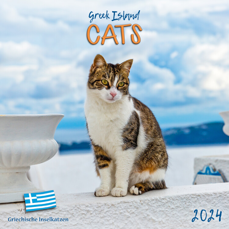 Greek Island Cats Wall Calendars 2024 Buy at Europosters