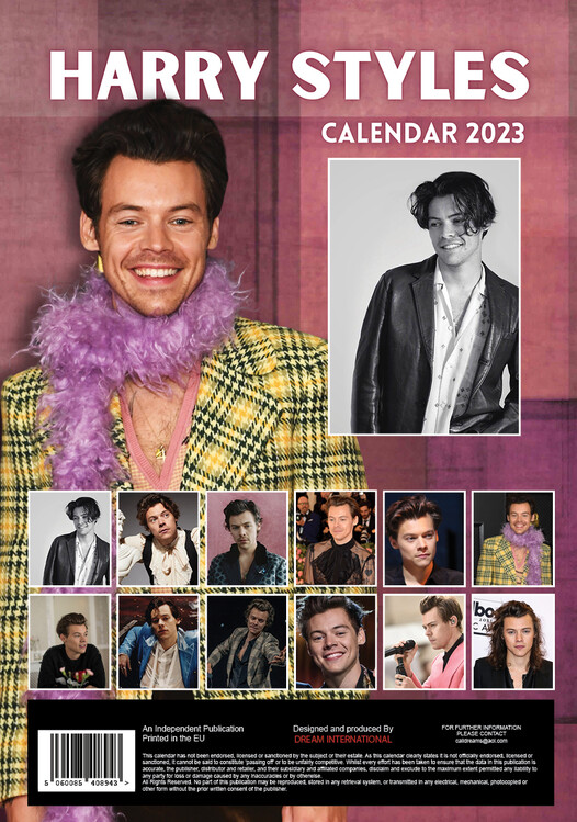 Harry Styles - Wall Calendars 2023 | Buy at Abposters.com