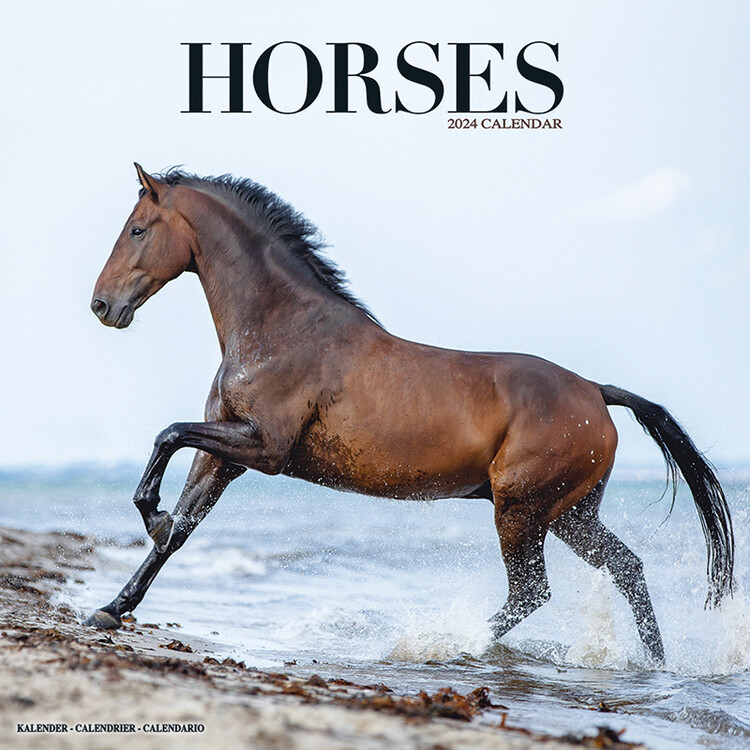 Horses Wall Calendars 2024 Buy At Abposters Com   Horses I179156 