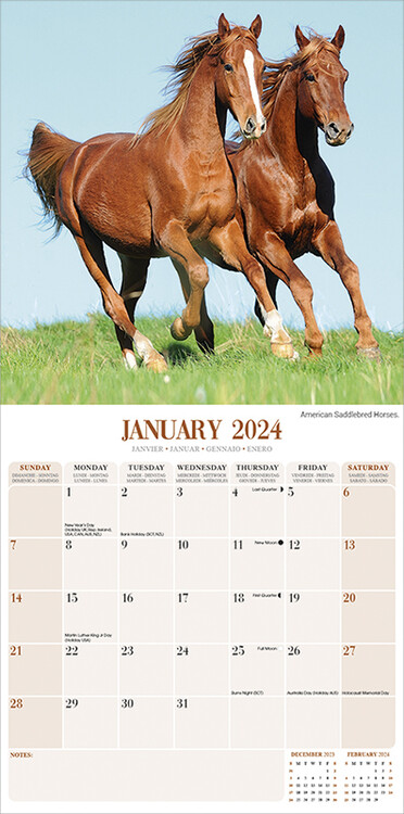 Calendrier Chevaux 2024