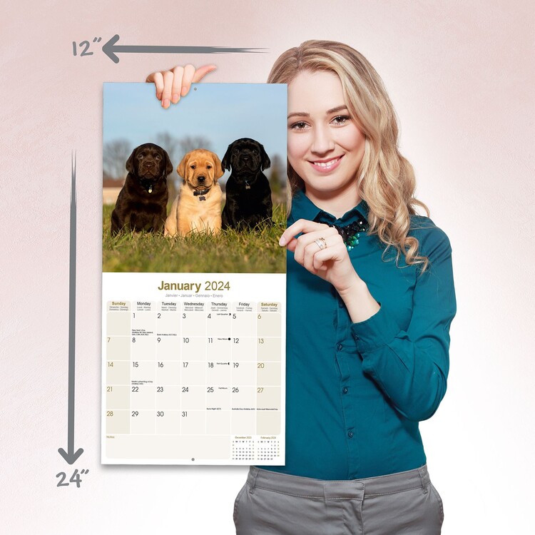 Labrador Ret (Mixed) - Wall Calendars 2024 | Buy at Abposters.com