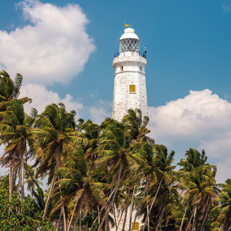 Calendario lighthouse 2024 - 18x18 - Aa.vv - calendario