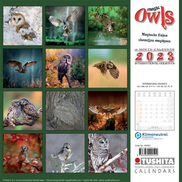 Calendar 2023 Magic Owls
