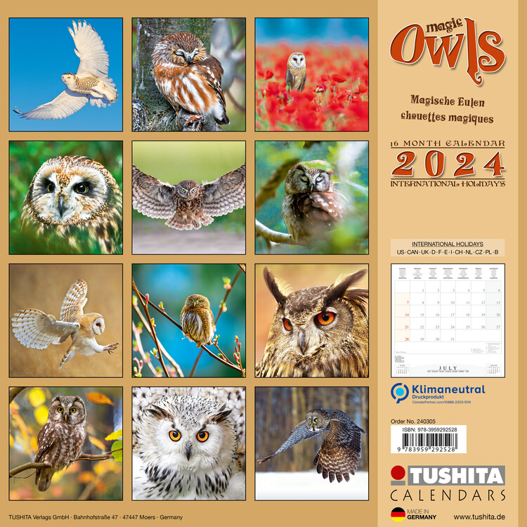 Calendar 2024 Magic Owls