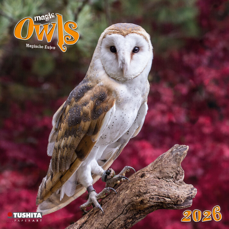 Calendar 2026 Magic Owls